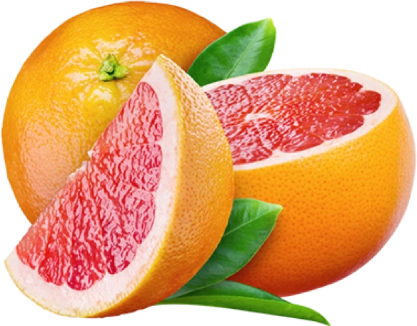 Illustration accompanying Grapefruit Fruit Extract